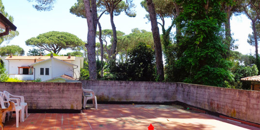 appartamento-affitto-tirrenia