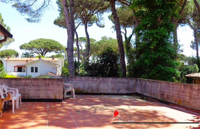 Bilocale 40 mq in affitto a Tirrenia