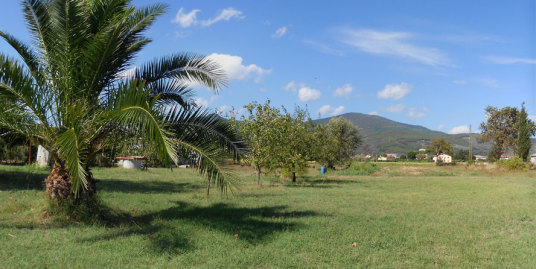 rustico-vendita-cascina con terreno