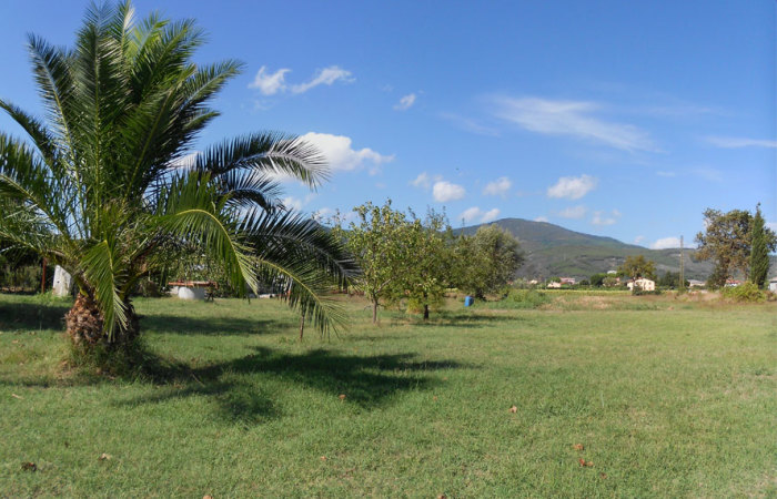 Rustico in vendita a Cascina di 200 mq da ristrutturare con terreno