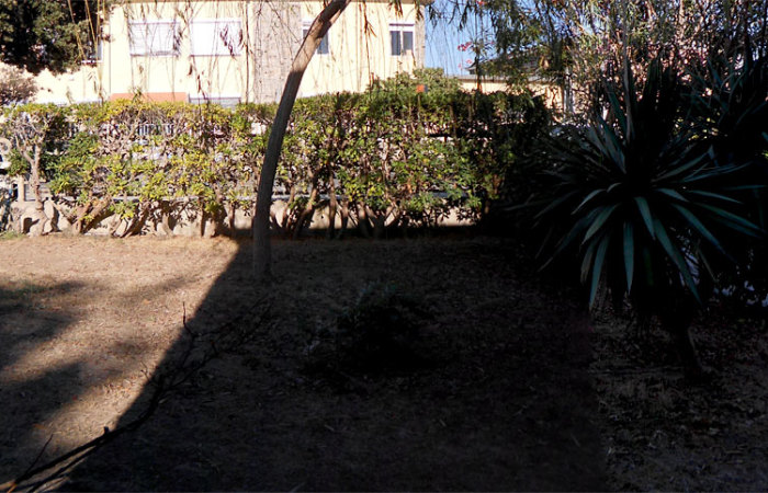 giardino