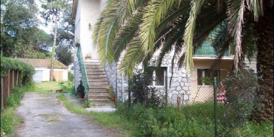 villa-vendita-tirrenia