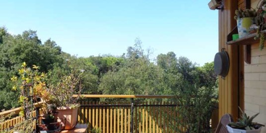 appartamento fronte mare in vendita tirrenia